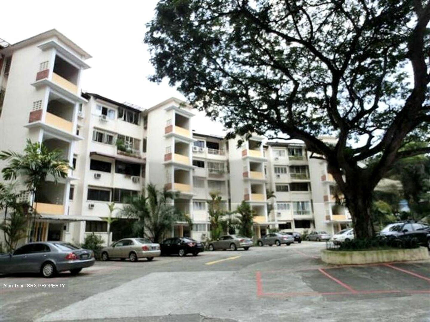Valley Mansion (D9), Apartment #527535181
